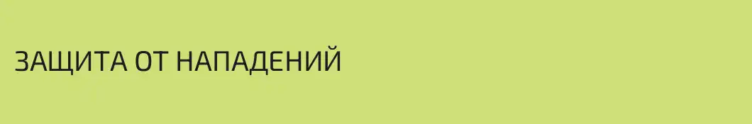 ЗАЩИТА ОТ НАПАДЕНИЙ 
